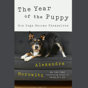 The Year of the Puppy 