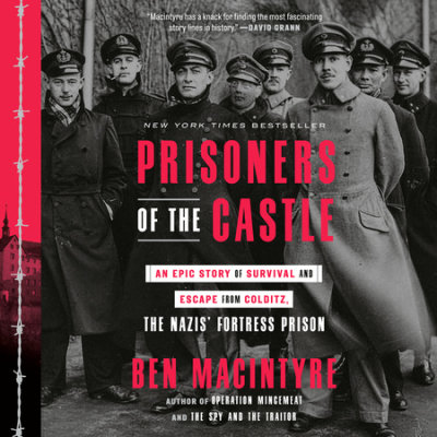 Prisoners of the Castle cover