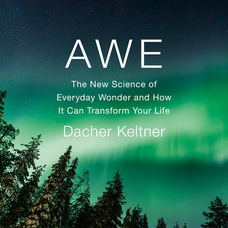 Awe by Dacher Keltner