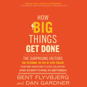 How Big Things Get Done 