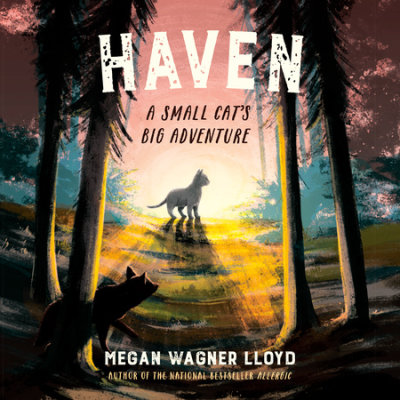 Haven cover