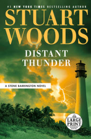 Distant Thunder 