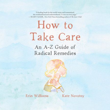 How to Take Care by Erin Williams & Kate Novotny