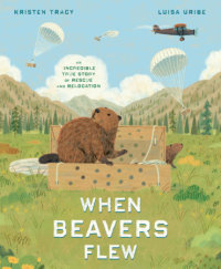 Book cover for When Beavers Flew