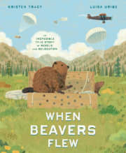 When Beavers Flew