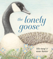 The Lonely Goose