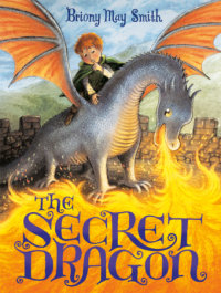 Cover of The Secret Dragon cover