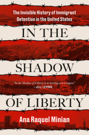 In the Shadow of Liberty 