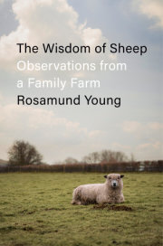The Wisdom of Sheep 