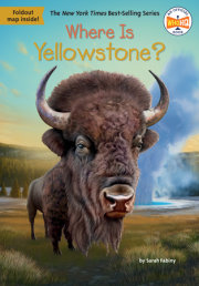 Where Is Yellowstone? 