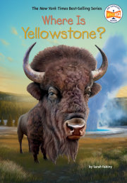 Where Is Yellowstone? 