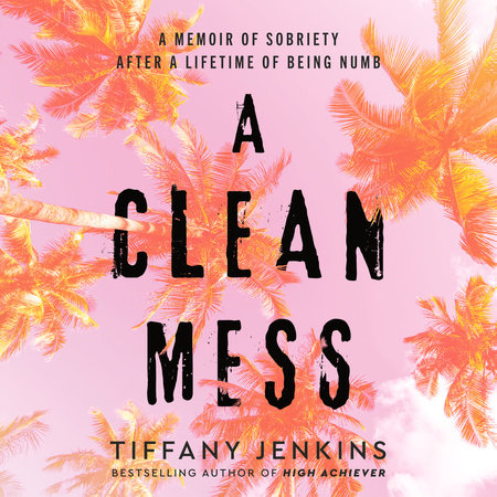A Clean Mess by Tiffany Jenkins