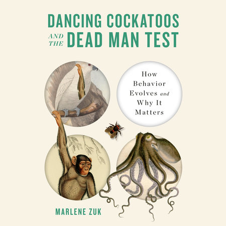 Dancing Cockatoos and the Dead Man Test Cover