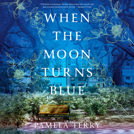 When the Moon Turns Blue by Pamela Terry