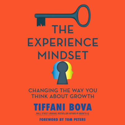 The Experience Mindset Cover