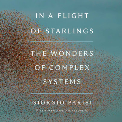 In a Flight of Starlings Cover