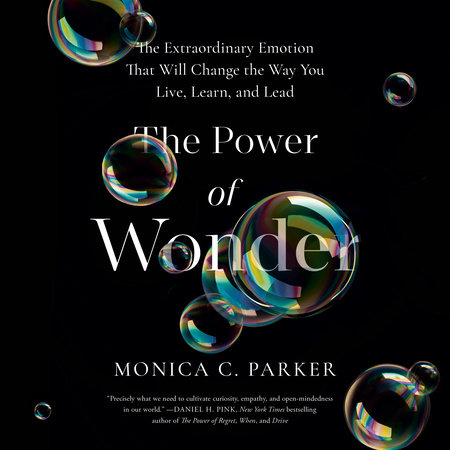 The Power of Wonder Cover