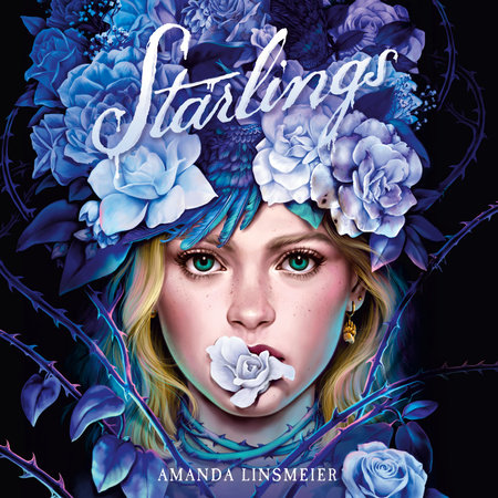 Starlings by Amanda Linsmeier