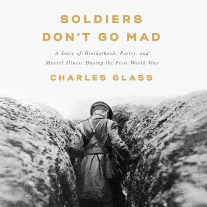 Soldiers Don't Go Mad Cover