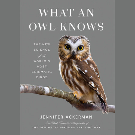What an Owl Knows Cover