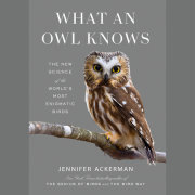 What an Owl Knows 