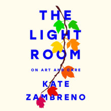 The Light Room Cover