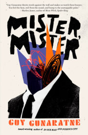 Mister, Mister 