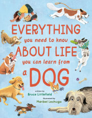 Everything You Need to Know About Life You Can Learn from a Dog 