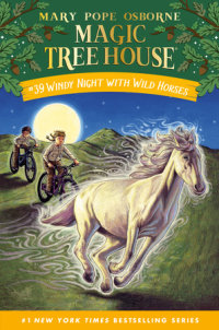 Cover of Windy Night with Wild Horses cover