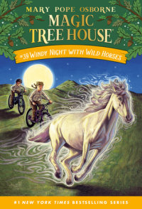 Cover of Windy Night with Wild Horses
