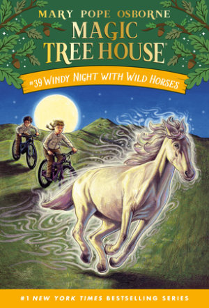 Cover of Windy Night with Wild Horses