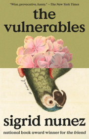 The Vulnerables 