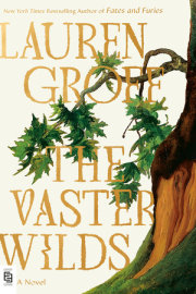 The Vaster Wilds 