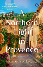 A Northern Light in Provence 