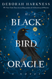 The Black Bird Oracle 