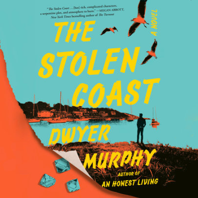 The Stolen Coast Cover
