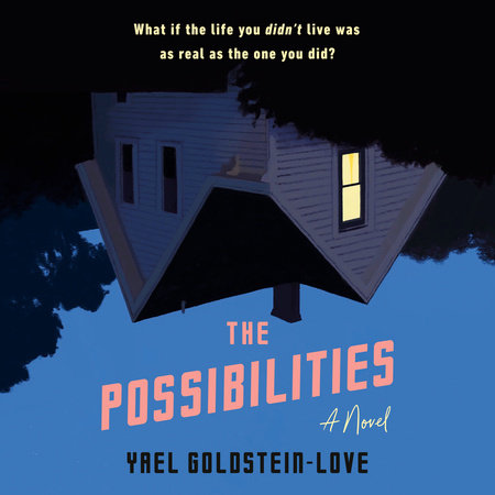 The Possibilities by Yael Goldstein-Love