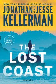 The Lost Coast 