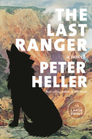 The Last Ranger 