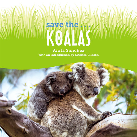 Save the... Koalas by Anita Sanchez & Chelsea Clinton