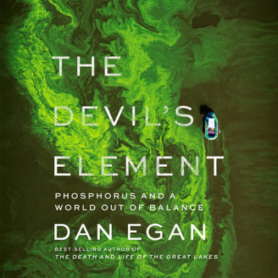 The Devil's Element cover