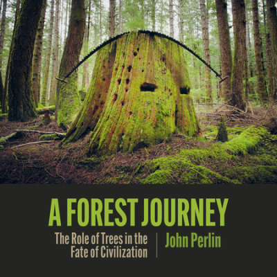 A Forest Journey cover