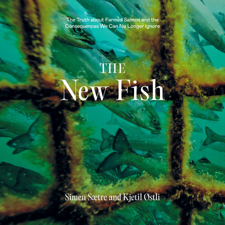 The New Fish by Simen Saetre, Kjetil Ostli: 9780593748275