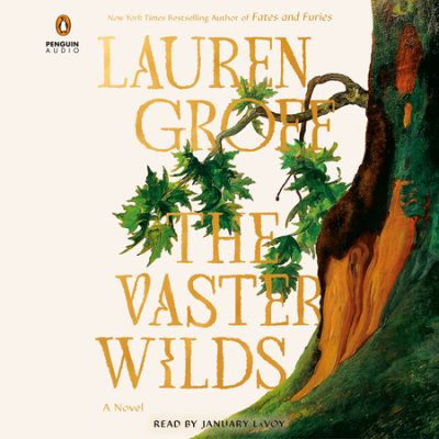 The Vaster Wilds cover