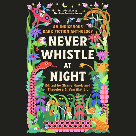 Never Whistle at Night Cover