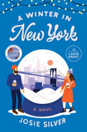 A Winter in New York 
