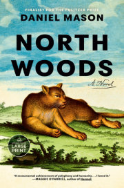 North Woods 