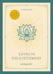 Living in Enlightenment 