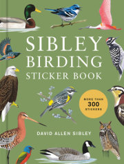 Sibley Birding Sticker Book 