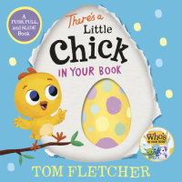 Book cover for There\'s a Little Chick in Your Book